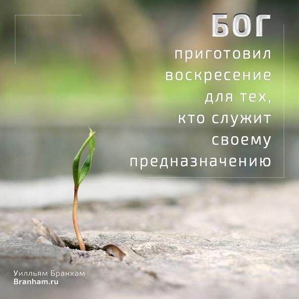 Картинка цитаты