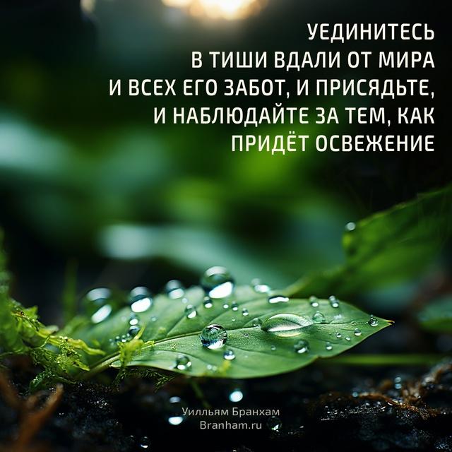 Картинка цитаты