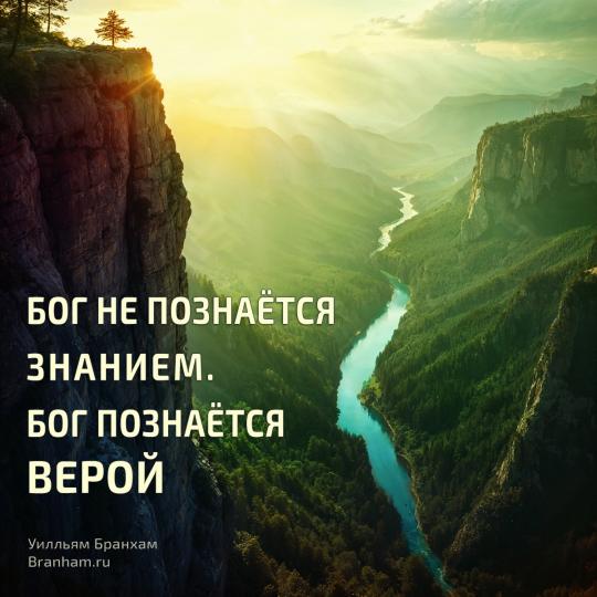 Картинка цитаты